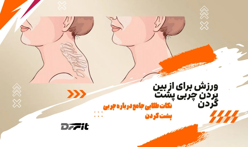 نکات طلایی جامع درباره ورزش برای از بین بردن چربی پشت گردن