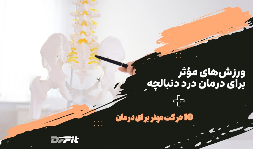 ورزش برای درد دنبالچه؛ تمرینات فیزیوتراپی و حرکات کششی کاربردی